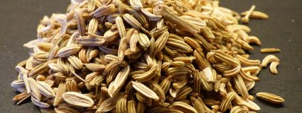 Benefici dei semi di finocchio contro le coliche