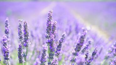 Un mese nel segno di un buon riposo naturale… con un consiglio di bellezza in più!