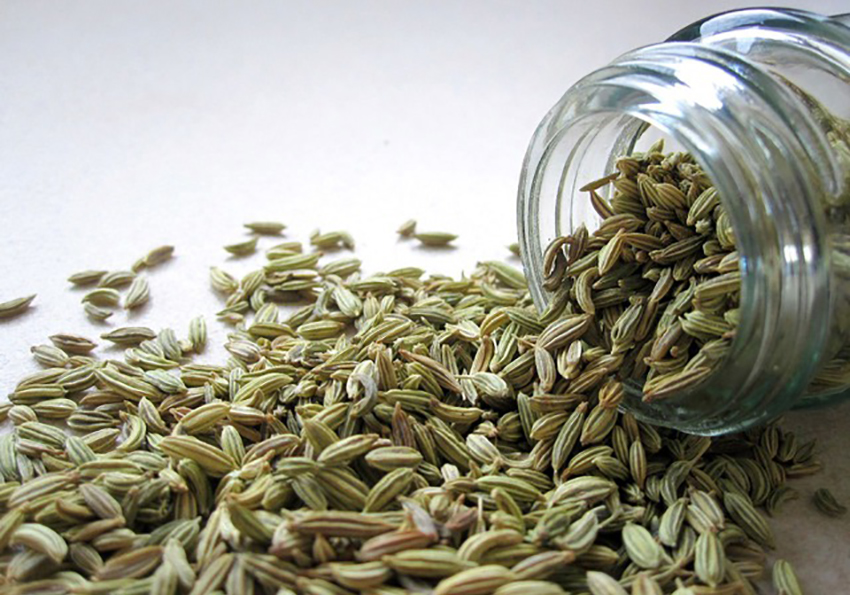 Benefici dei semi di finocchio contro le coliche